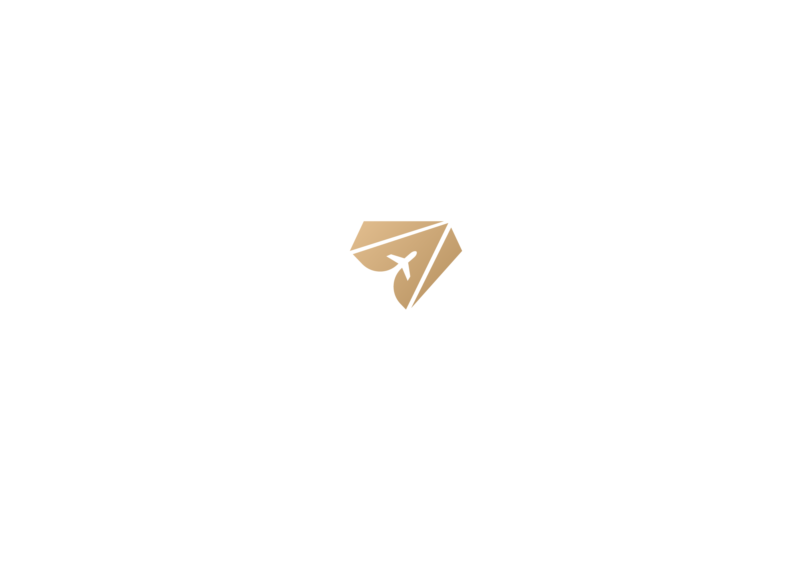 Aeromond Your Journey Our Priority